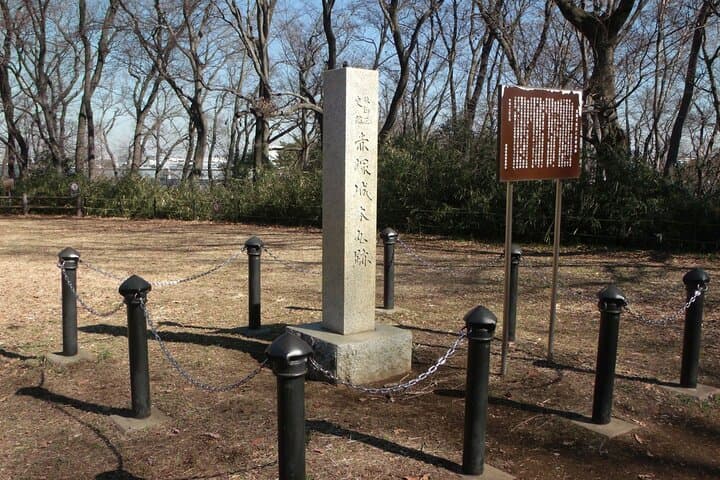 Private Walking tour, Tokyo Great Buddha, Botanical Garden, etc. — photo 15