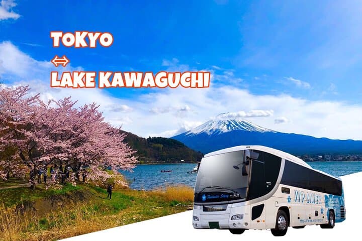 Lake Kawaguchi ⇔ Tokyo Bus Tickets — photo 17
