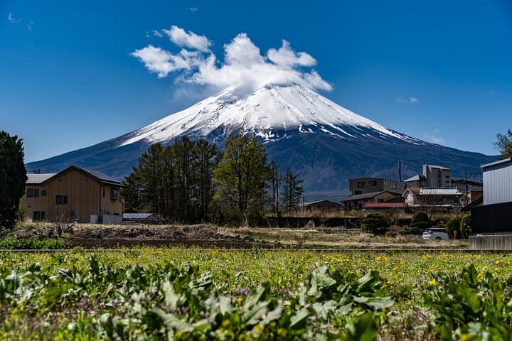 A class on Making Hoto, Yamanashi's Traditional Dish — photo 9
