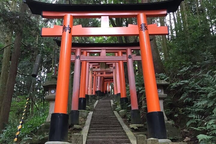 【Fushimi inari shrine】A local born in Kyoto shares the secret path away tourists — photo 5
