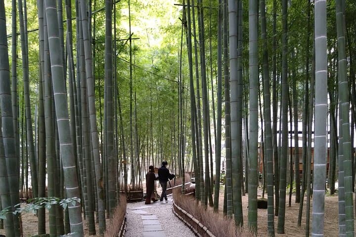 Kamakura One Day Walking Private Tour — photo 7