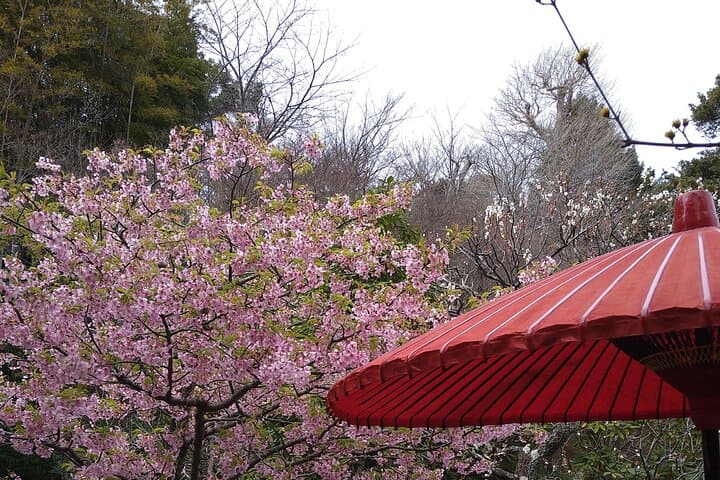 Kamakura One Day Walking Private Tour — photo 13