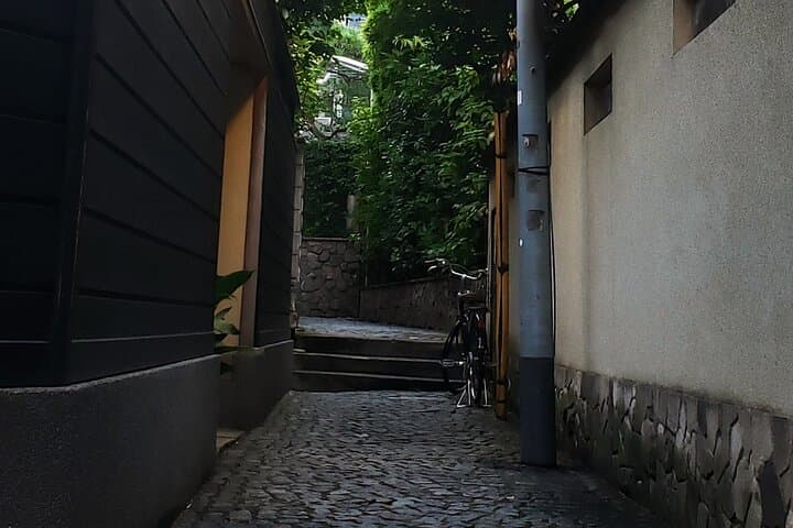 Tokyo Private Art Tour in Kagurazaka Shinjuku with Licensed Guide — photo 2