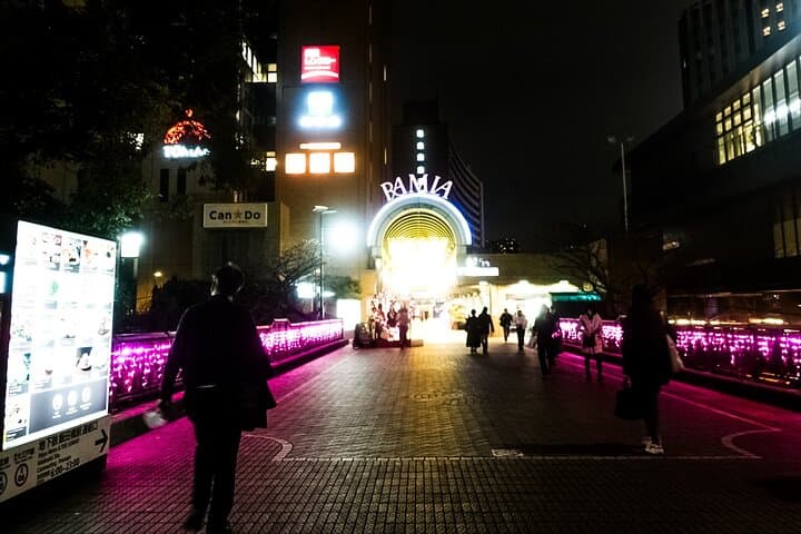 Tokyo Private Art Tour in Kagurazaka Shinjuku with Licensed Guide — photo 4