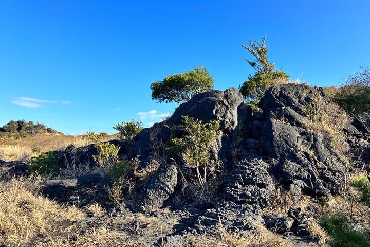 Trekking Volcanic Island in Izu Oshima — photo 5
