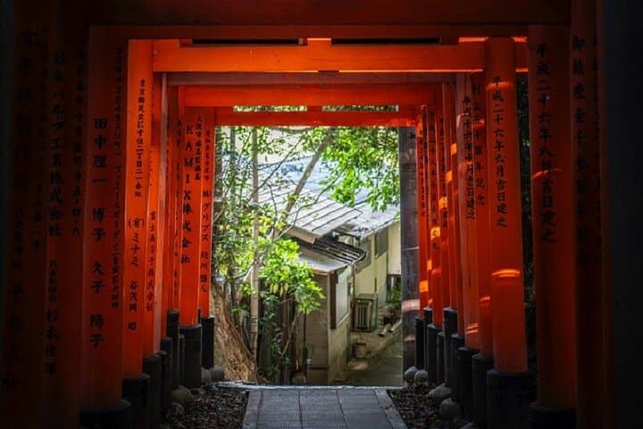 Kyoto Private Tour by Licensed Native Japanese Guide — photo 7