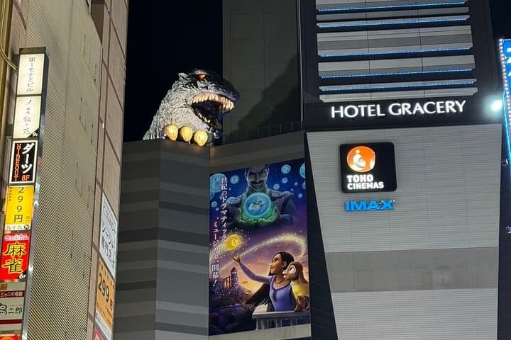 ENJOY-ALL-SHINJUKU《Red Light District Walking》with DEEPest info! — photo 8