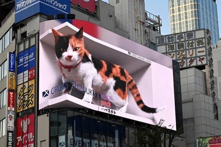 ENJOY-ALL-SHINJUKU《Red Light District Walking》with DEEPest info! — photo 15