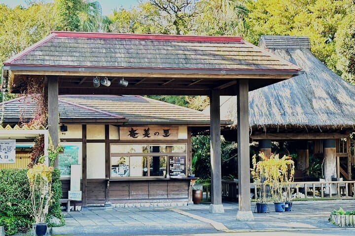 Plant Dyed Shawl Private Class at Kagoshima — photo 7
