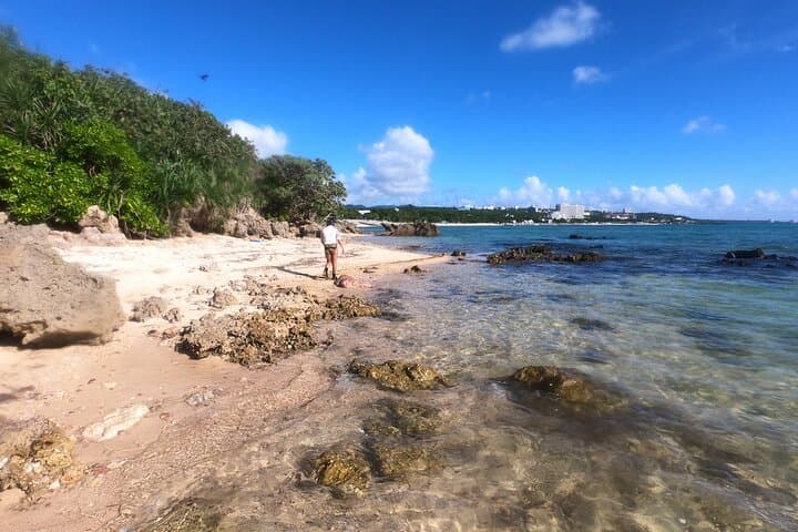 Private Snorkeling Experience in Yambaru (North Okinawa) — photo 16