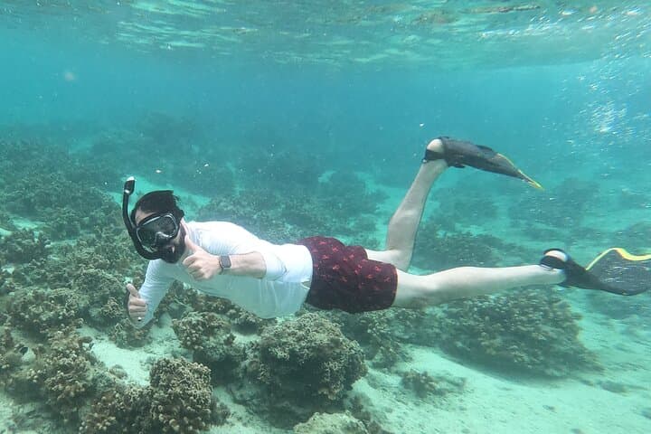 Private Snorkeling Experience in Yambaru (North Okinawa) — photo 19