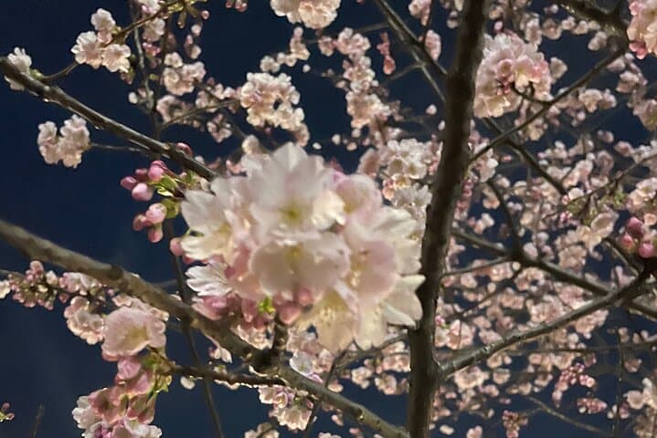 Private Kabuki-cho Tour with Local Guide — photo 2