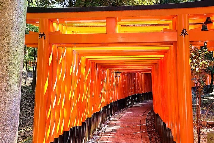Kyoto Full Course Tour: Explore 10 Must-See Sights & Hidden Gems — photo 19