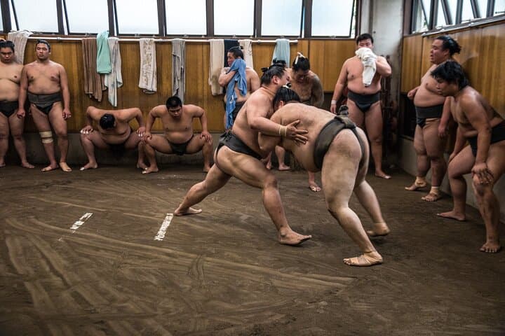 Tokyo Sumo Morning Practice Tour at Stable — photo 13