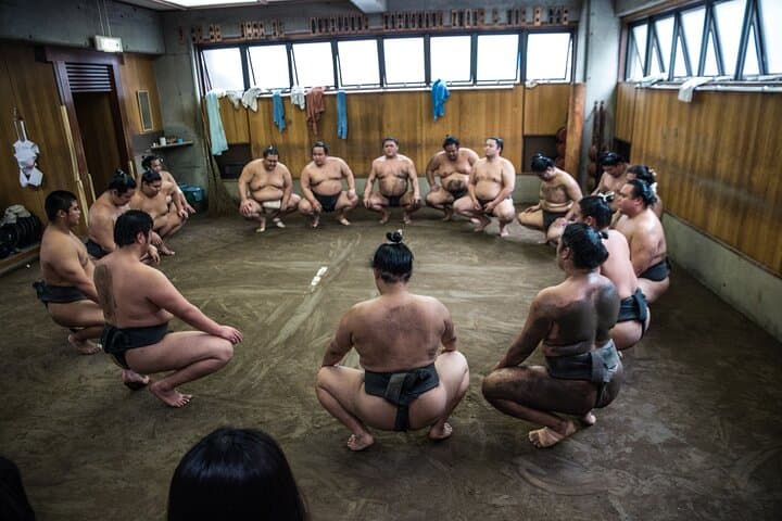 Tokyo Sumo Morning Practice Tour at Stable — photo 4