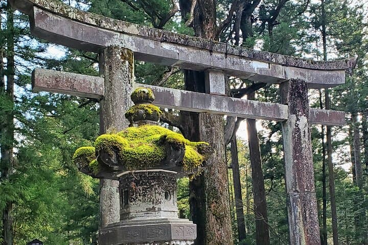 Nikko Full-Day Private Tour from Tokyo (Customizable) — photo 8
