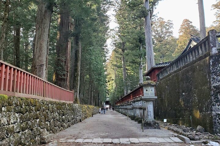 Nikko Full-Day Private Tour from Tokyo (Customizable) — photo 15
