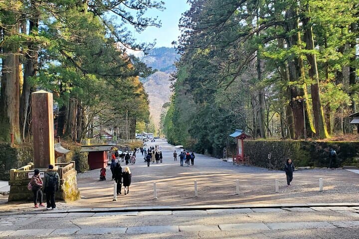 Nikko Full-Day Private Tour from Tokyo (Customizable) — photo 18