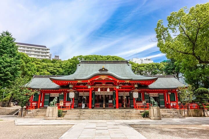 Private Day Tour in Osaka and Kyoto with charter car — photo 10