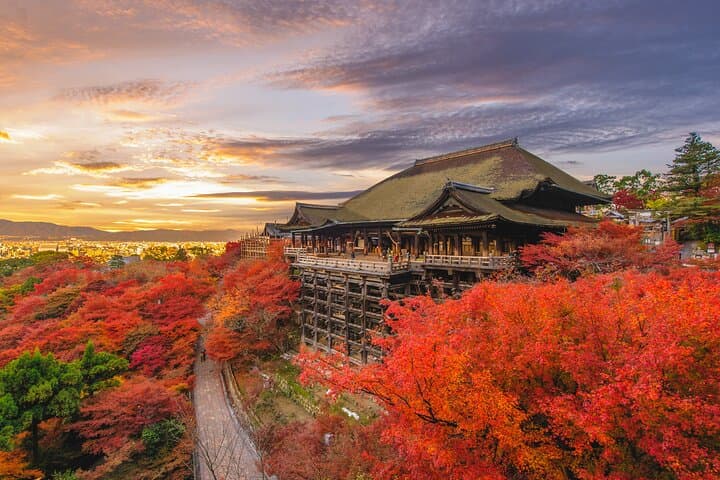 Private Day Tour in Osaka and Kyoto with charter car — photo 4