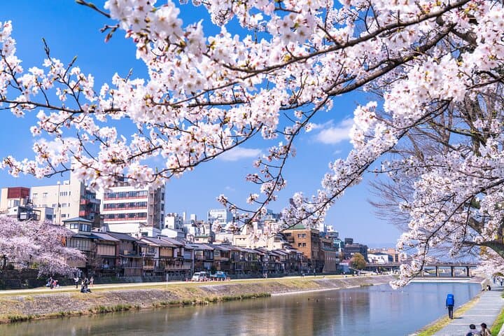 Private Day Tour in Osaka and Kyoto with charter car — photo 19