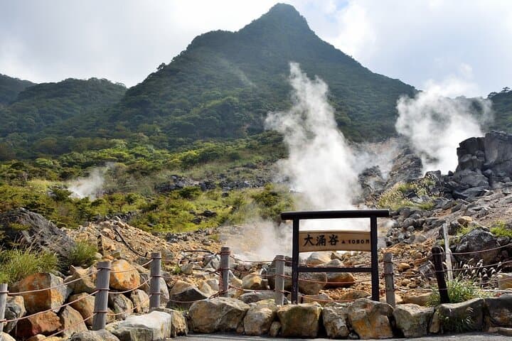 Mt Fuji Kawaguchi/Hakone/Yokohama Tokyo customize private car — photo 16
