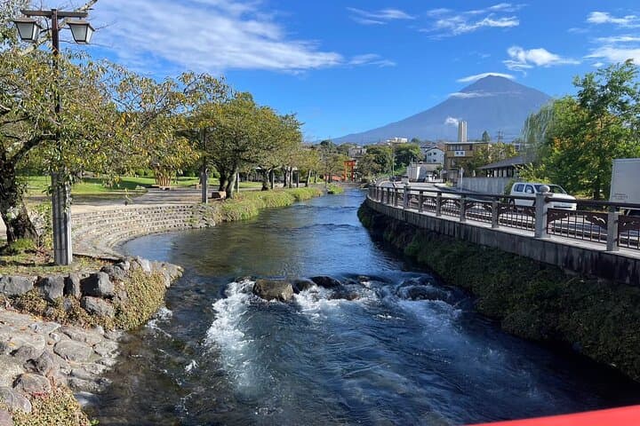 Feel Mt. Fuji & Sake Tasting Private Shore Excursion in Shizuoka — photo 8
