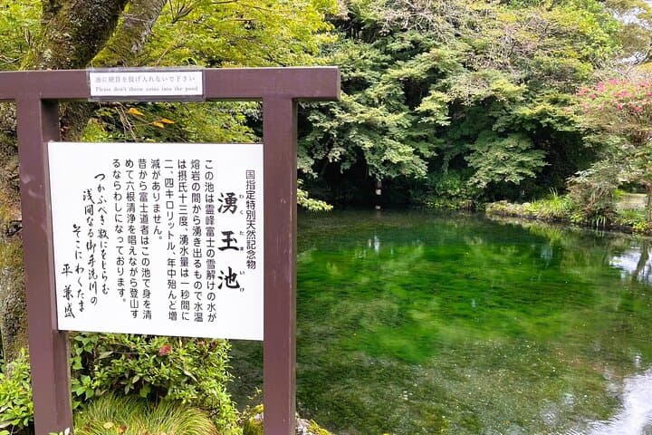 Feel Mt. Fuji & Sake Tasting Private Shore Excursion in Shizuoka — photo 9