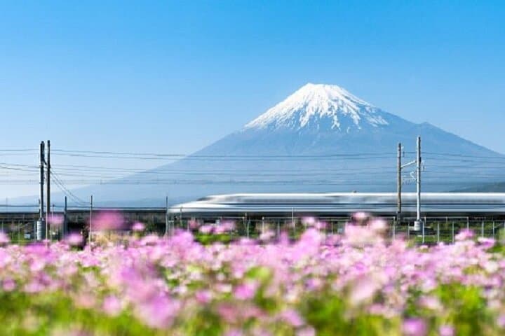 Feel Mt. Fuji & Sake Tasting Private Shore Excursion in Shizuoka — photo 5