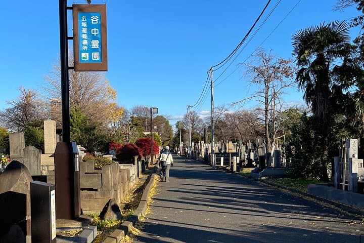 YANESEN JPN Sweets & Sake Pairing Old Tokyo walk w/ a local guide — photo 8