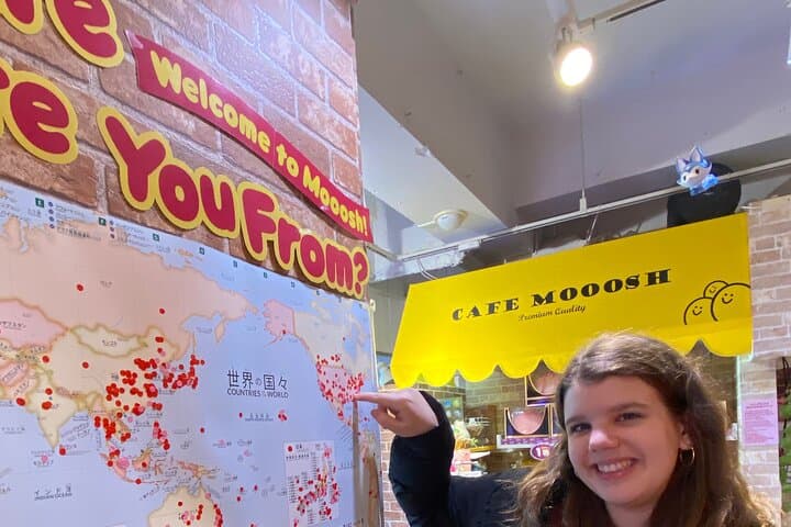 Meiji Shrine +Harajuku Kawaii/Fashion +Lunch +Shibuya Crossing — photo 3