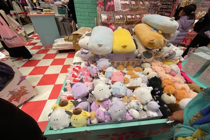 Meiji Shrine +Harajuku Kawaii/Fashion +Lunch +Shibuya Crossing — photo 5
