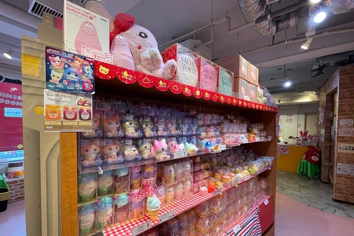 Meiji Shrine +Harajuku Kawaii/Fashion +Lunch +Shibuya Crossing — photo 12