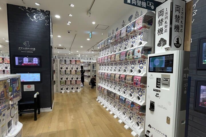Meiji Shrine +Harajuku Kawaii/Fashion +Lunch +Shibuya Crossing — photo 13
