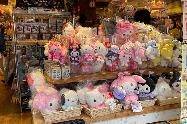 Meiji Shrine +Harajuku Kawaii/Fashion +Lunch +Shibuya Crossing — photo 15