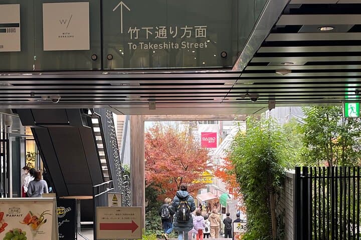 Meiji Shrine +Harajuku Kawaii/Fashion +Lunch +Shibuya Crossing — photo 16