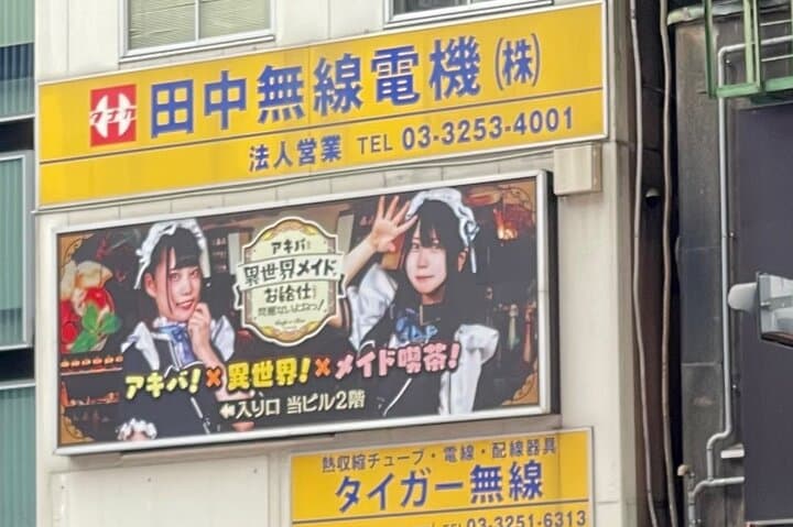 Akihabara - Discover the Otaku Culture & Experience the Maid Cafe — photo 10
