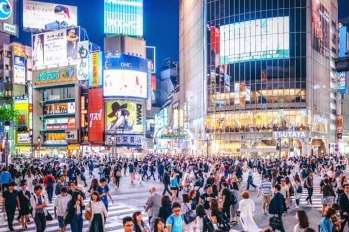 Tokyo Private Tour by Car with English speaking driver