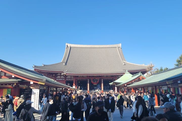 Tokyo Private Tour by Car with English speaking driver — photo 5