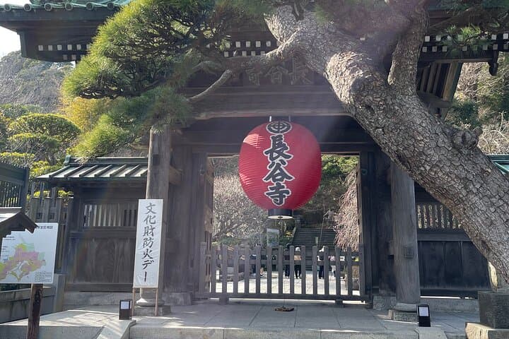 Walk & Drive - KAMAKURA DEEP TOUR see more w/ a certified guide — photo 3