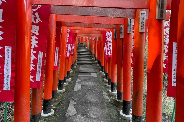 Walk & Drive - KAMAKURA DEEP TOUR see more w/ a certified guide — photo 5