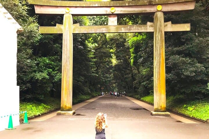 Tokyo Full Course Tour: Explore 10 Must-See Sights & Hidden Gems — photo 2