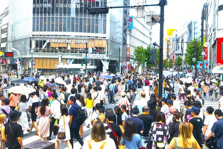 Tokyo Full Course Tour: Explore 10 Must-See Sights & Hidden Gems — photo 11