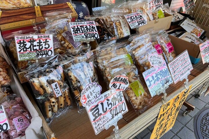 Tokyo: Yanaka Historic Streets Guided Tour & Asakura Museum Visit — photo 9