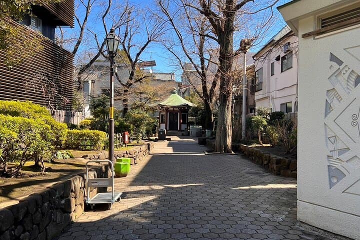 Tokyo: Yanaka Historic Streets Guided Tour & Asakura Museum Visit — photo 10