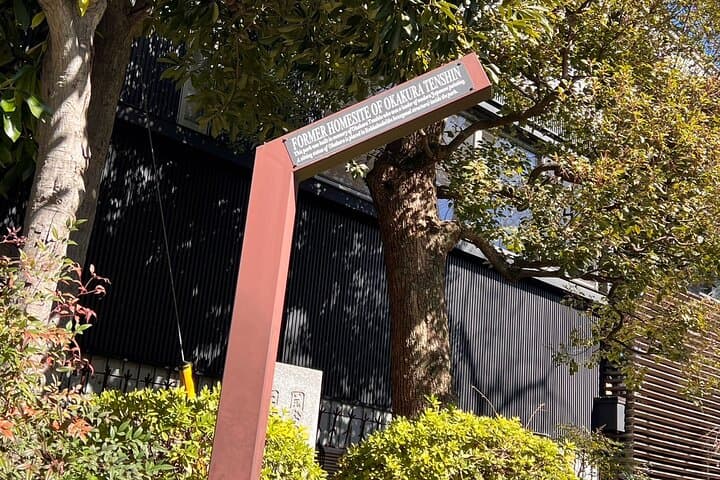 Tokyo: Yanaka Historic Streets Guided Tour & Asakura Museum Visit — photo 11