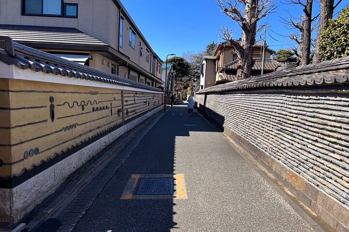 Tokyo: Yanaka Historic Streets Guided Tour & Asakura Museum Visit — photo 13