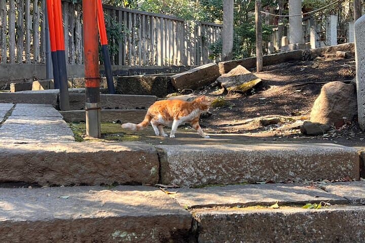 Tokyo: Yanaka & Nezu Old Town Heritage Walk — photo 10