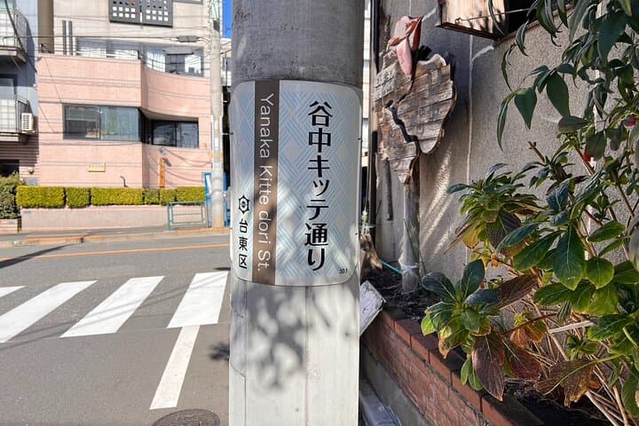 Tokyo: Yanaka & Nezu Old Town Heritage Walk — photo 11