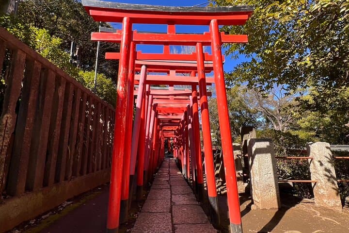 Tokyo: Yanaka & Nezu Old Town Heritage Walk — photo 5